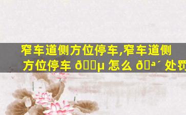 窄车道侧方位停车,窄车道侧方位停车 🐵 怎么 🪴 处罚